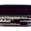 Trevor James 10XCDE Ex Rental Flute AFP10009 